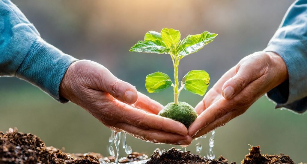 BREEAM Health and Wellbeing in the UK